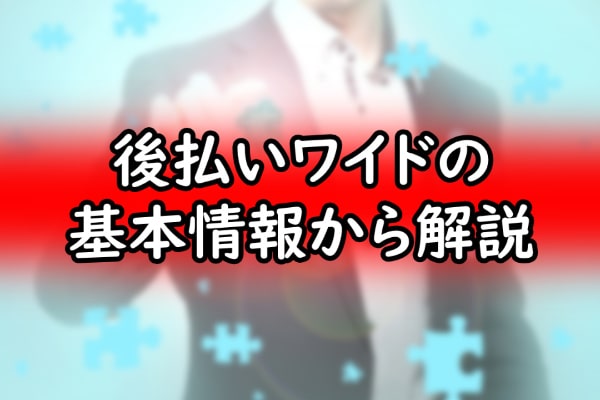 後払いワイドの基本情報から解説